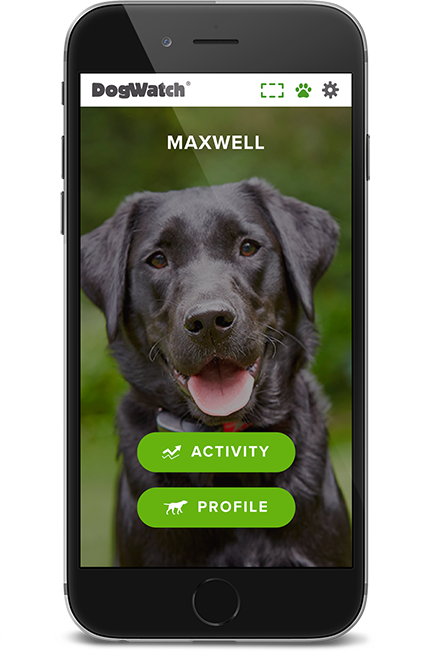 DogWatch of the Bay Area & Northern California, San Rafael, CA | SmartFence WebApp Image