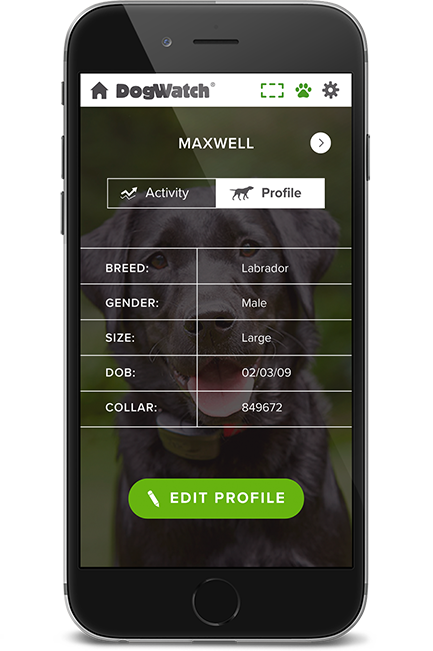 DogWatch of the Bay Area & Northern California, San Rafael, CA | SmartFence WebApp Image