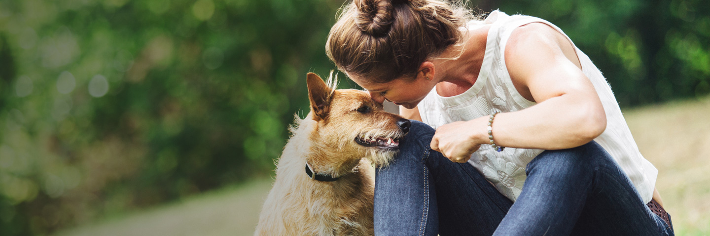 DogWatch of the Bay Area & Northern California, San Rafael, CA | BarkCollar No-Bark Trainer Slider Image